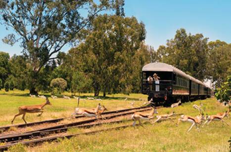 Rovos Rail: The most luxurious train in the world | ROL Cruise Blog