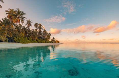 The best Black Friday cruise deals 2024 | ROL Cruise Blog