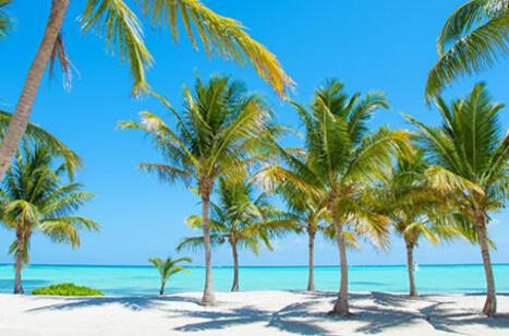 A panoramic view of a picturesque beach in the Caribbean