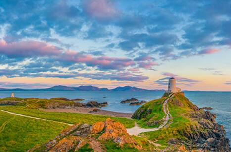 Star line-up announced for Princess’ Summer Seacations | ROL Cruise Blog