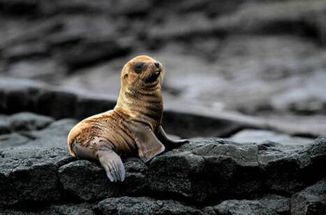 The world’s smallest ocean cruise ships | ROL Cruise Blog