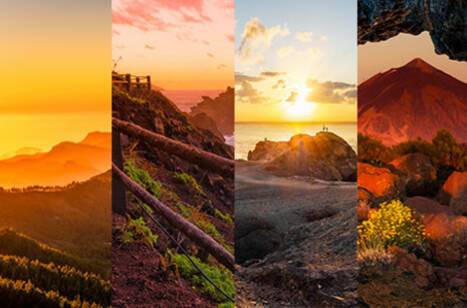 A collage of Canary Islands images