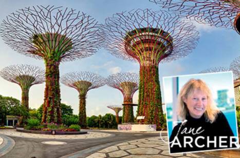 Jane Archer: Rainforests, temples & a Singapore Sling | ROL Cruise Blog