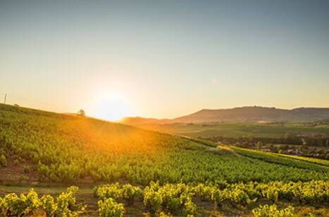 Take a wine tour of France | ROL Cruise Blog