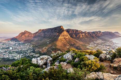 8 hours in Cape Town | ROL Cruise Blog