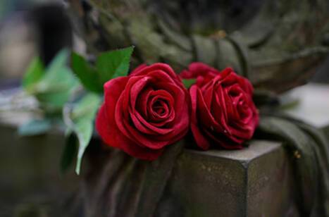 Intriguing cemeteries