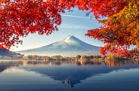 Single country cruises