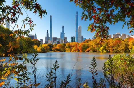 What makes New York so iconic? | ROL Cruise