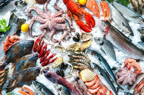 Best seafood around the world | ROL Cruise Blog