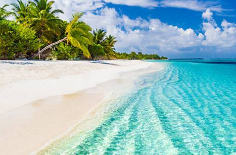 Royal Caribbean set to resume sailing | ROL Cruise Blog