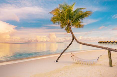 2021 cruise calendar | ROL Cruise Blog