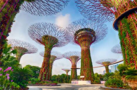 Singapore Travel Guide: The Best Things to See, Do and Eat | ROL Cruise Blog