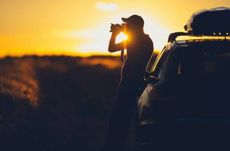 Wildlife Photography