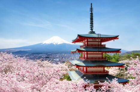 Chureito Pagoda and Mount Fuji with cherry blossom trees during the spring season
