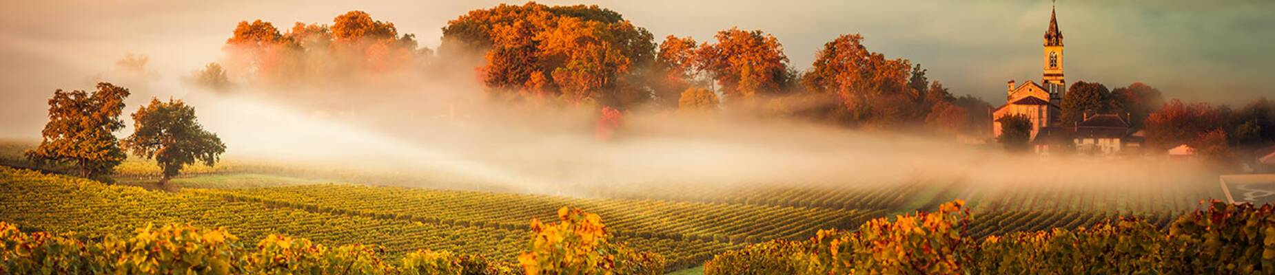 Great Wine Capitals of the World