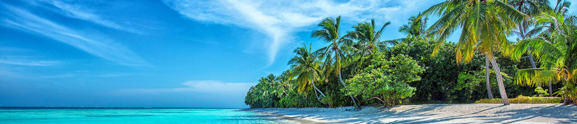 Cruise lines category