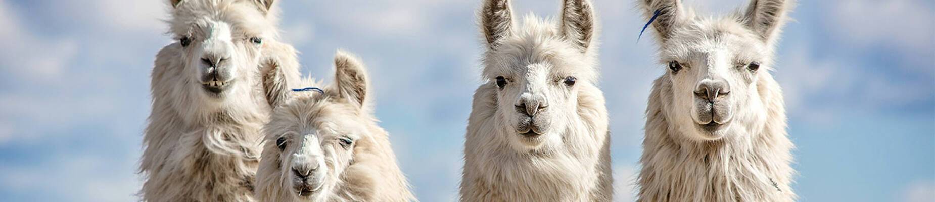 Top novels to read during your world cruise