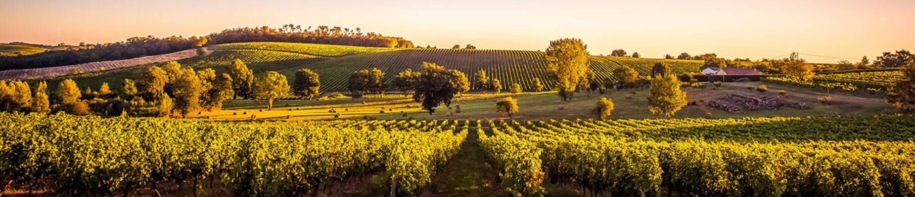 Alt text: Bordeaux, France