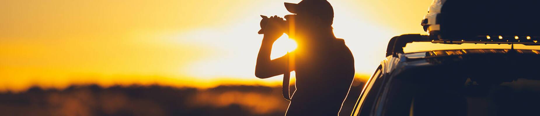 Wildlife Photography