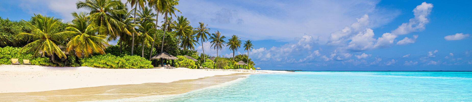 A panoramic image of the ocean and a white sand beach with palm trees