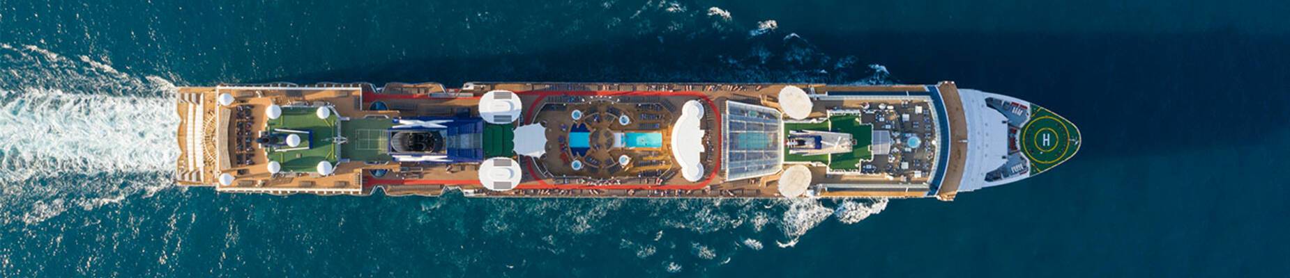 The Celebrity Revolution