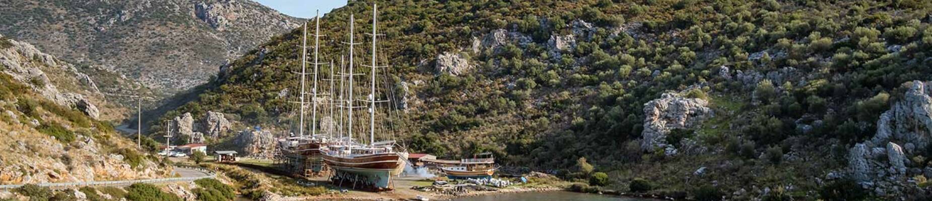 Cruise ship dry docks