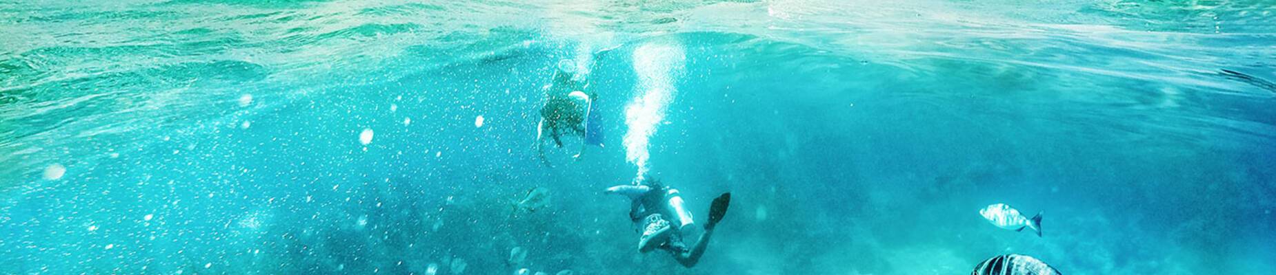 Caribbean diving spots