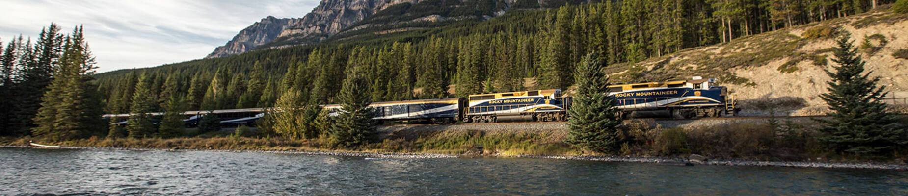 GoldLeaf or SilverLeaf Service