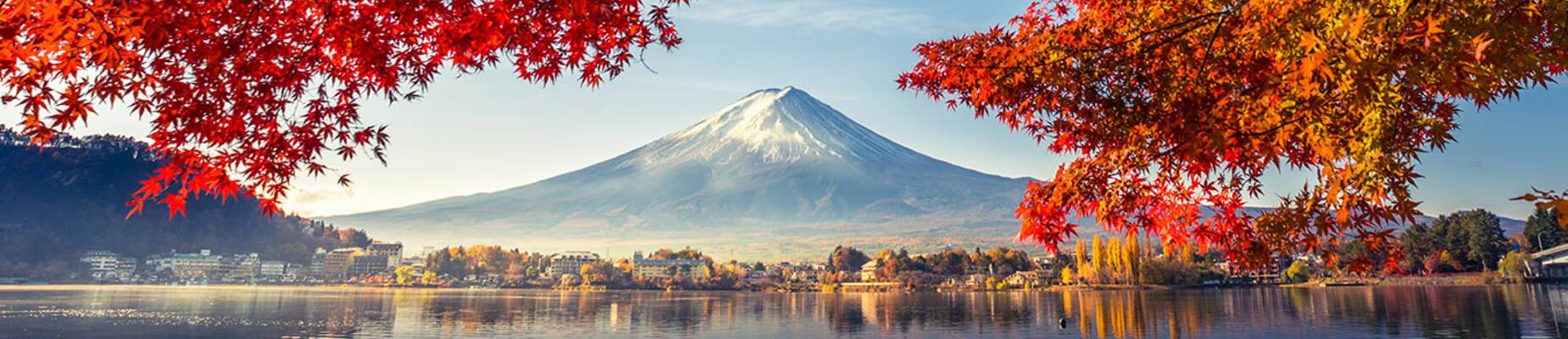 Single country cruises