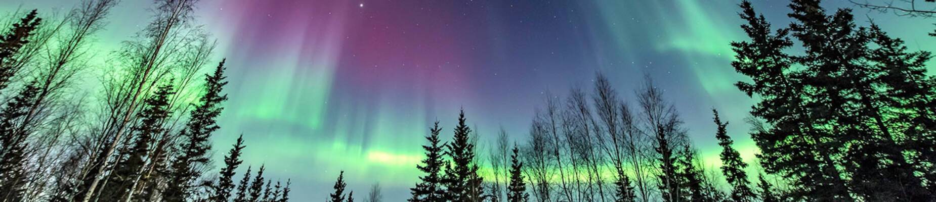 Different types of cruises