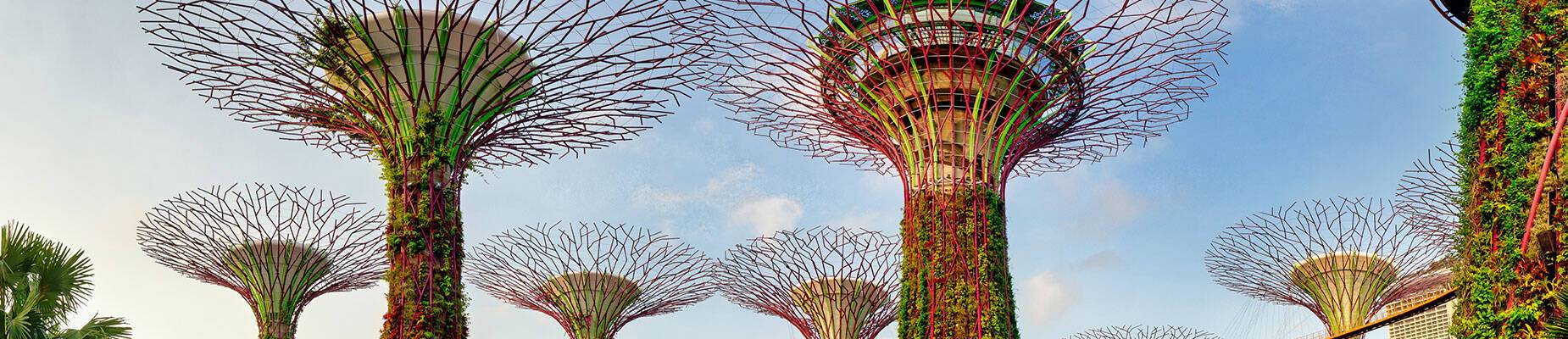 Gardens by the Bay in Singapore