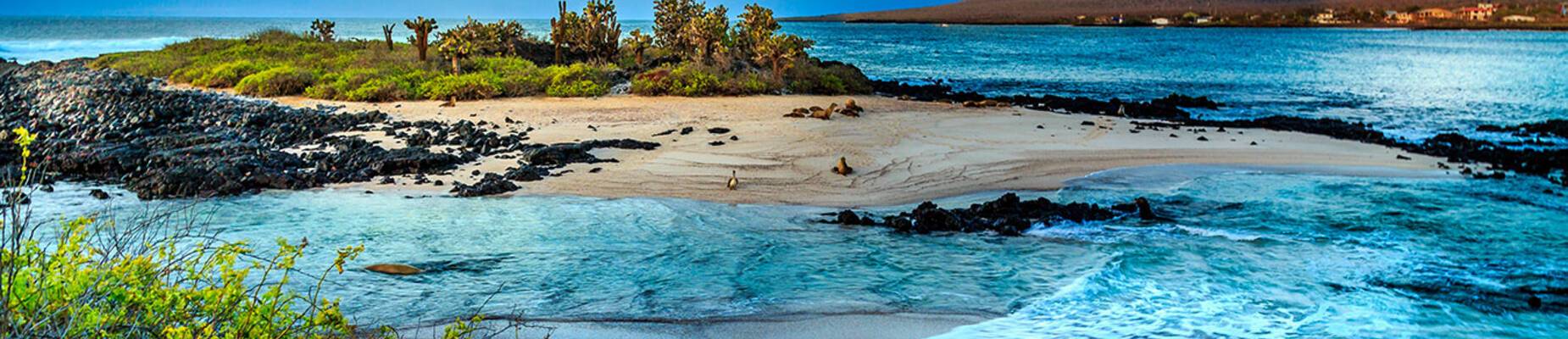 Galapagos Islands Wildlife