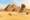 View CruiseSplendours of Egypt & the NileDeal