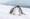 A Journey of a lifetime through Antarctica | ROL Cruise Blog