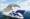 Princess Cruises announces celebrity line-up | ROL Cruise Blog