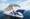 A guide to Princess Cruises app | ROL Cruise Blog