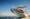 P&O Cruises unveil Azura refit | ROL Cruise Blog