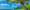 A panoramic view of a palm tree on a beach