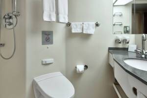 Interior Stateroom, Nieuw Amsterdam