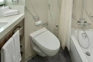 Ocean View Stateroom Bathroom, Rotterdam