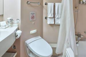 Verandah Stateroom, Oosterdam