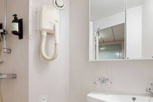 Polar Outside Cabin O2,  Bathroom, MS Trollfjord, Hurtigruten