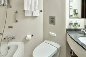 Verandah Stateroom Bathroom, Nieuw Amsterdam