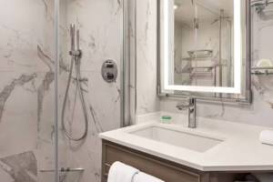 Concierge Level Veranda Bathroom, Riviera, Oceania Cruises