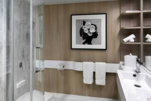 Deluxe Ocean View bathroom, Celebrity Apex