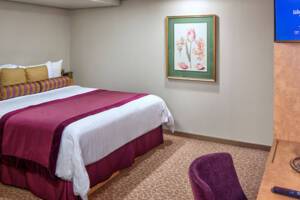 Interior Stateroom, Oosterdam