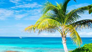 View CruiseBahamas: Great Stirrup Cay, Orlando & NassauDeal