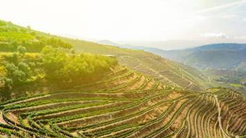 View CruisePortugal, Spain, the Douro River ValleyDeal