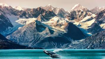 View Cruise2026 Glaciers and Volcanoes of Alaska, Hawaii & CanadaDeal
