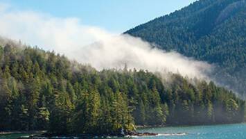 View CruiseAlaska Fjords & Canadian Inside PassageDeal